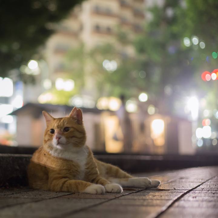 06751e1b 8f78 4047 9104 ef732ba78a16