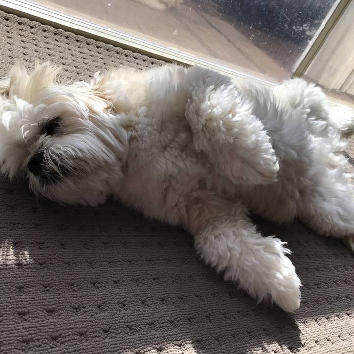 06753780 e73a 450f a657 d93507f3527a