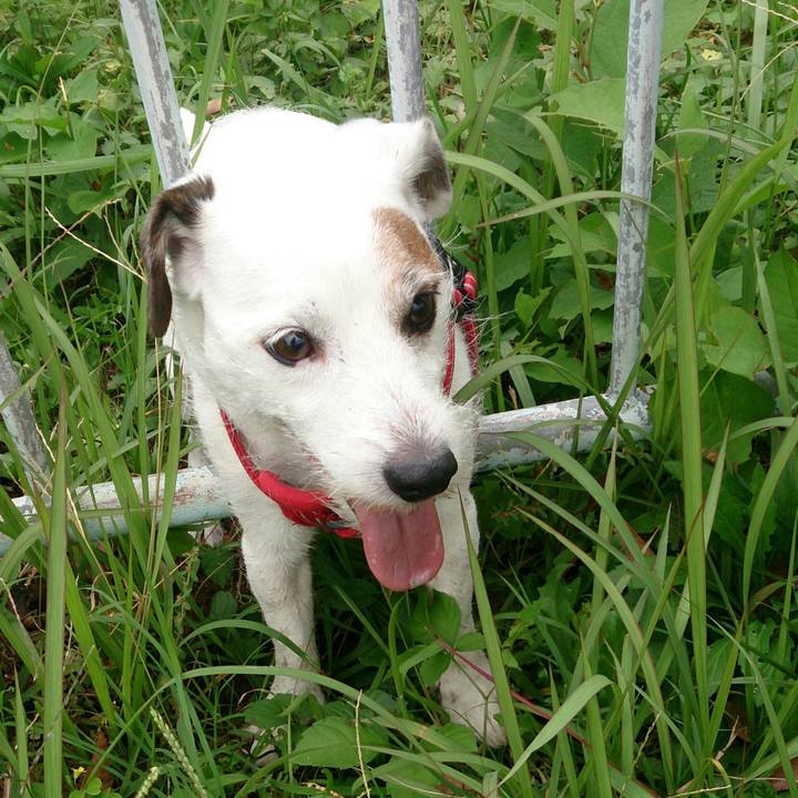 0675dc0d 421b 49cc 9c57 9ee5e94518dd