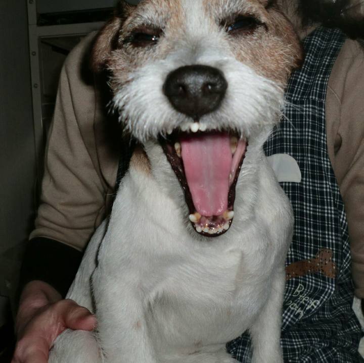 0676015e c2f5 4bf6 bed2 3b74598b27d7