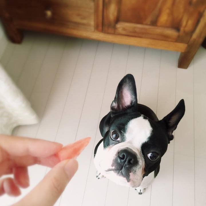 06768aef ebda 4288 8fc2 020cc30aad81