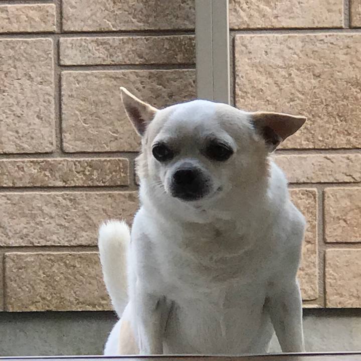 0676c9f0 4d8d 47cd b562 151e2f57e08c