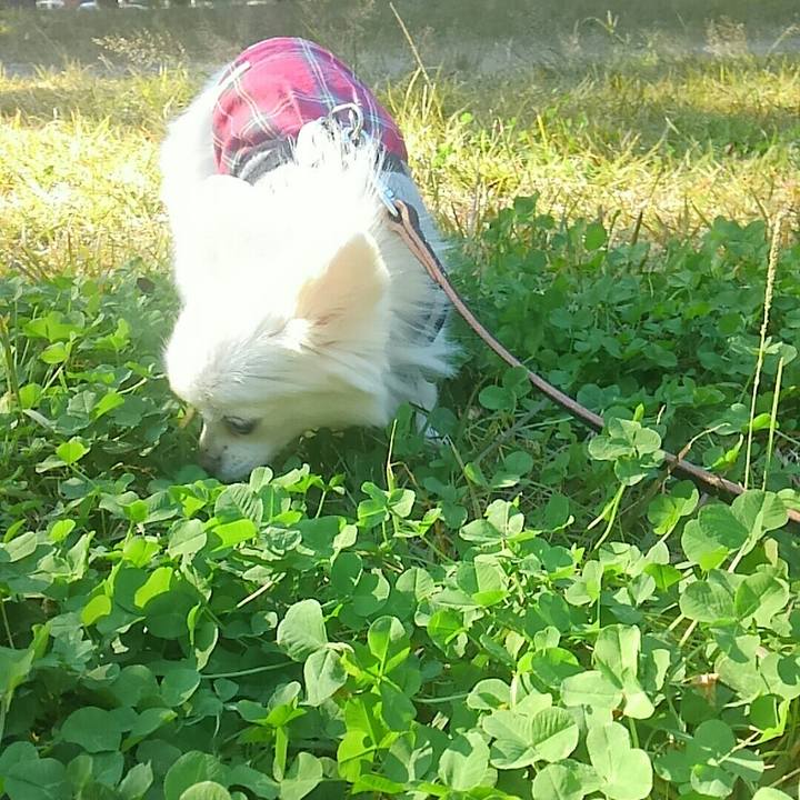 0677128a 8fcf 4d44 920c b2c788c89e21