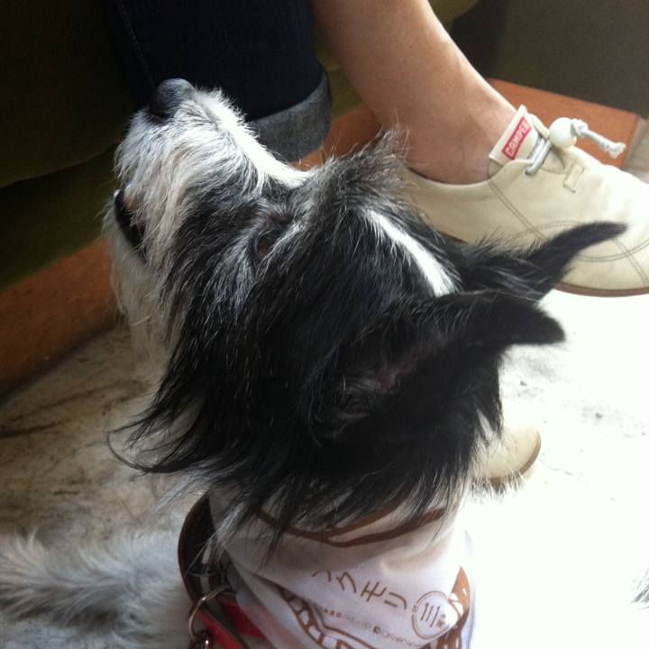 0677bb8d 2592 4acc 9607 c0b657f26d6d