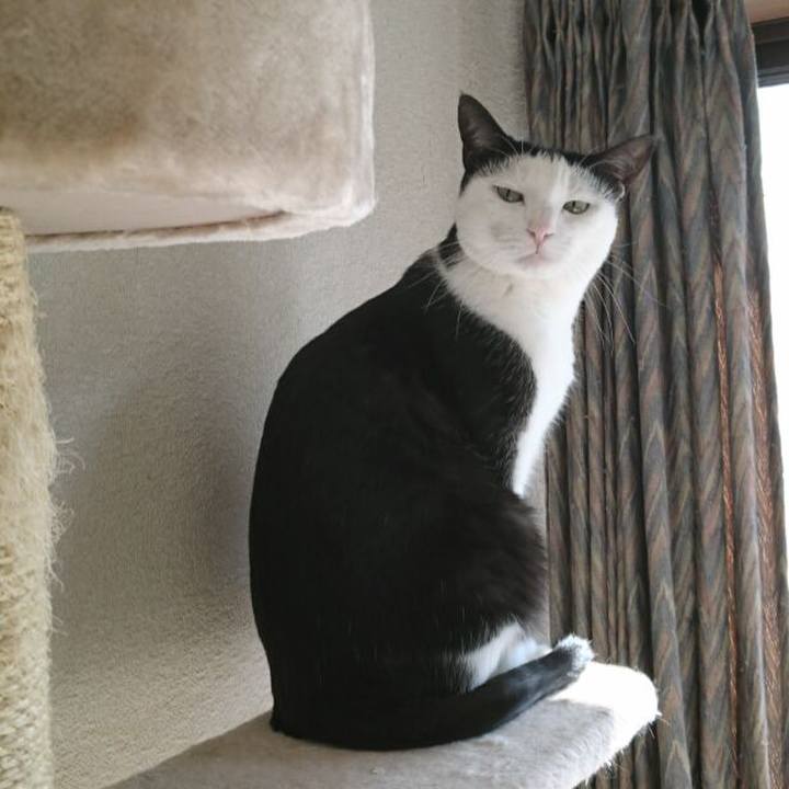 0677f117 556c 4116 9d8d ca7c00445df2