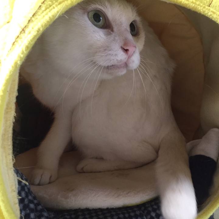 06783c66 214b 4f6e a29f e14591b523bc