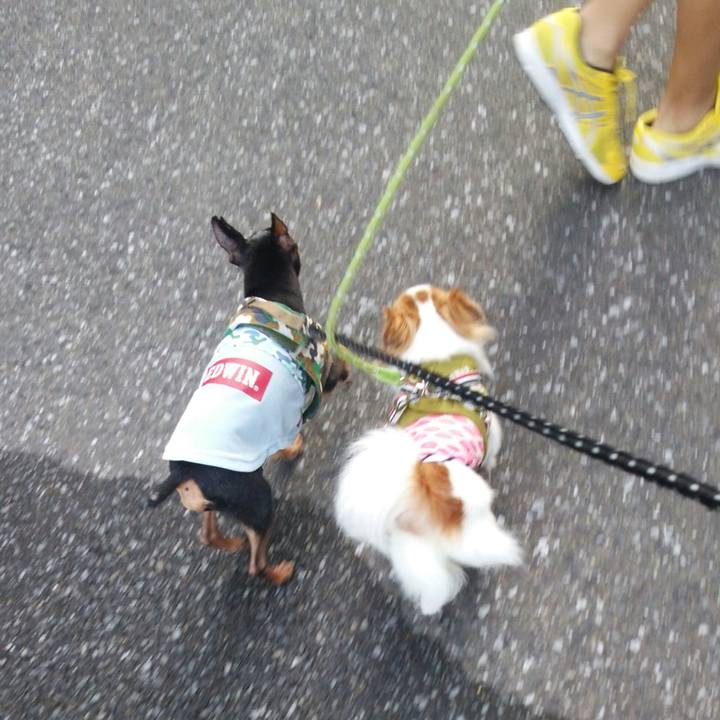 067895f8 c654 463d ab89 5015e6f7e95c