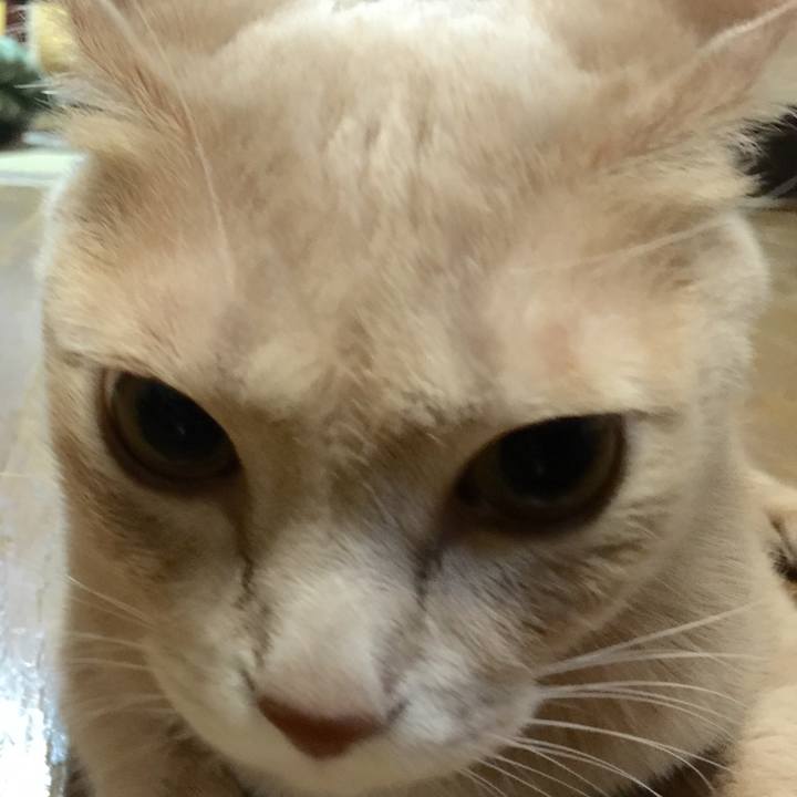 0678a91b ce48 4754 85da bf53632f441a