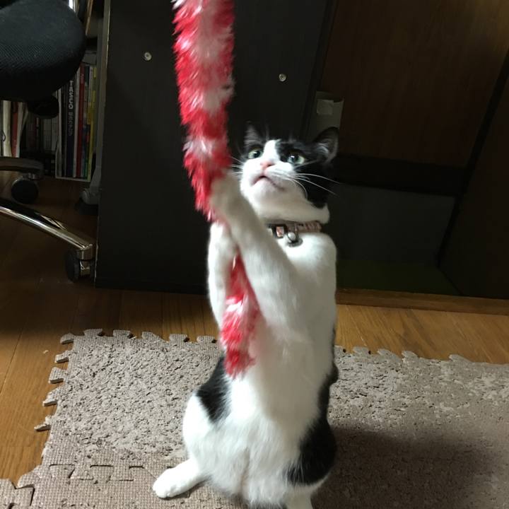 0678b5fa 4236 44c2 93dd 028bed2ad39d