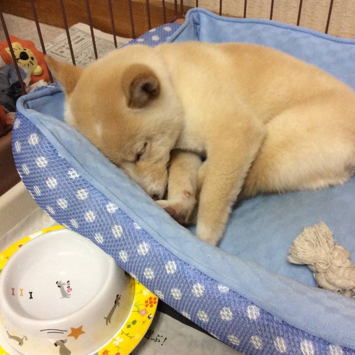 0678f013 1df6 4e52 8436 18e4d67f55fe