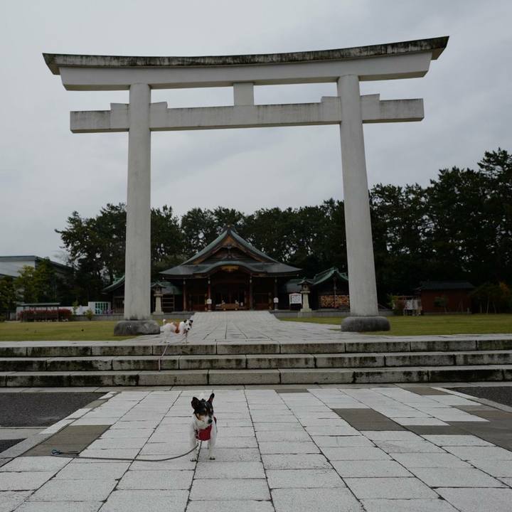 06791418 cf7d 46fc 8de1 858a7dd073a3