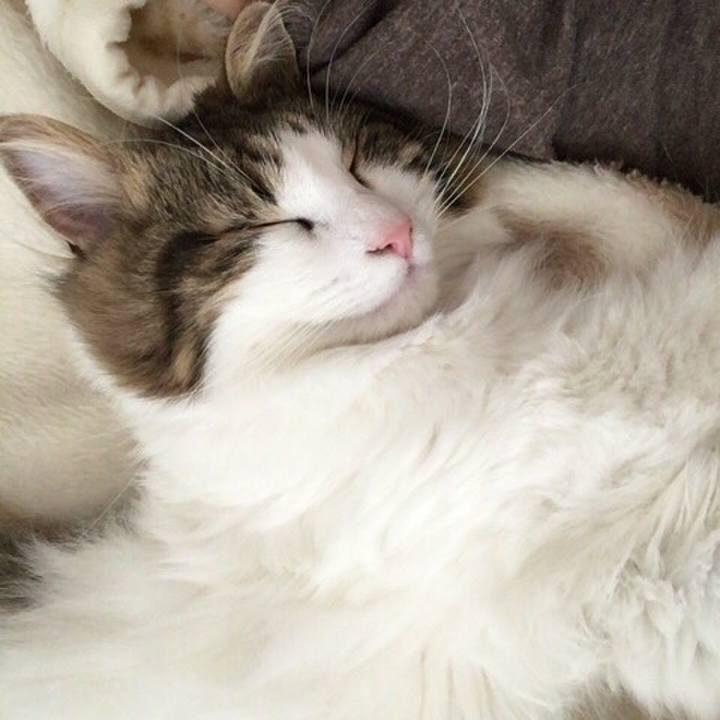 06791891 7f3a 4a54 8674 02300e1b8eb3