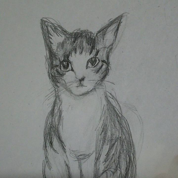 06796e59 7f40 49e4 afd3 3a651da42e84