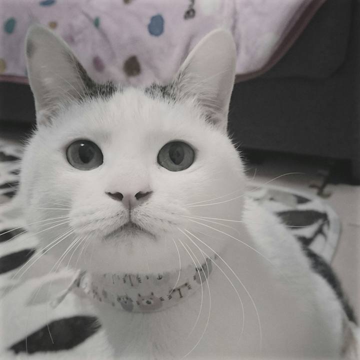 06796e80 4fd8 4b8e 9dfc ff7c046fa26d