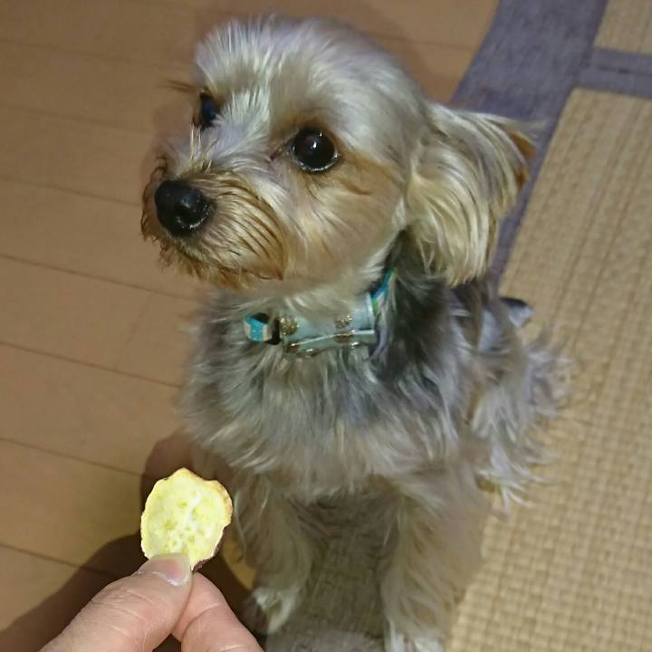 06797846 3e55 4317 9230 1ef3f6687389