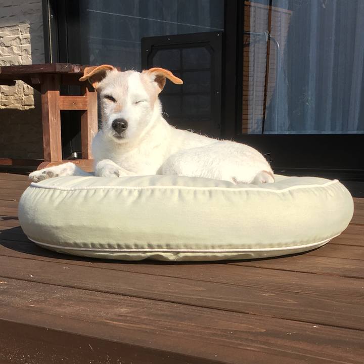 06797cd4 5831 42cf a349 b99711eb8f28