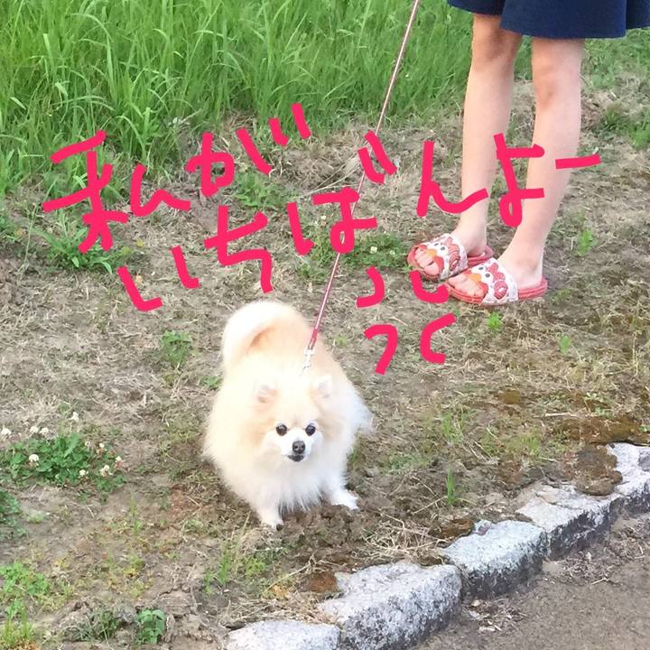 067a2145 a666 4331 98a9 40557bdd946e