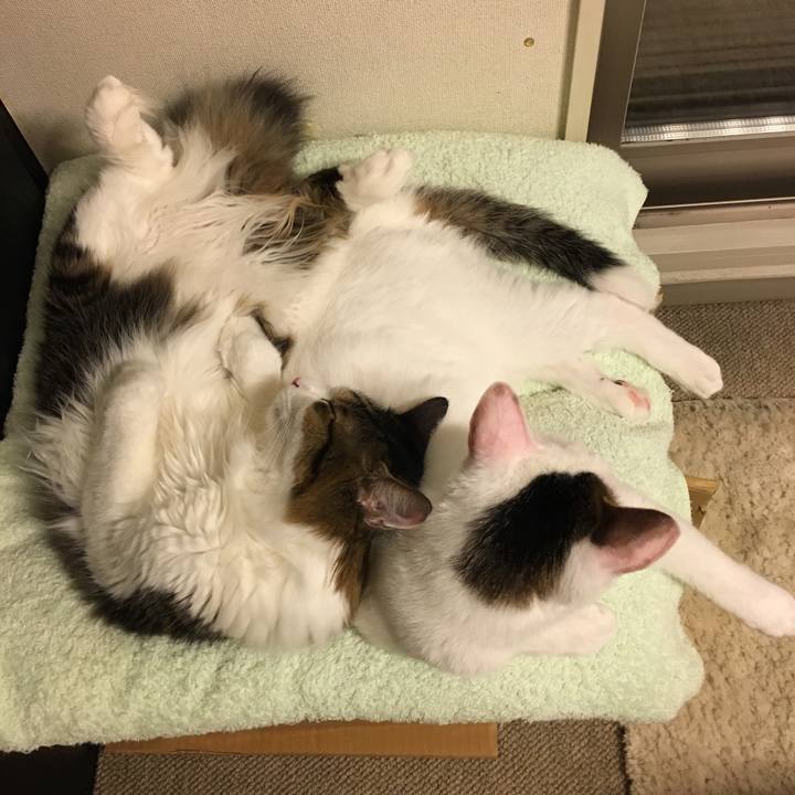 067a34a4 6540 4c2b 89a6 e091ff99d347