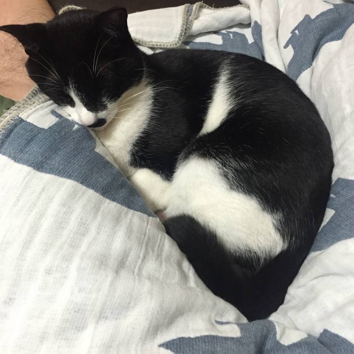 067a3bb5 bcad 45d1 b398 fa9a4213b223