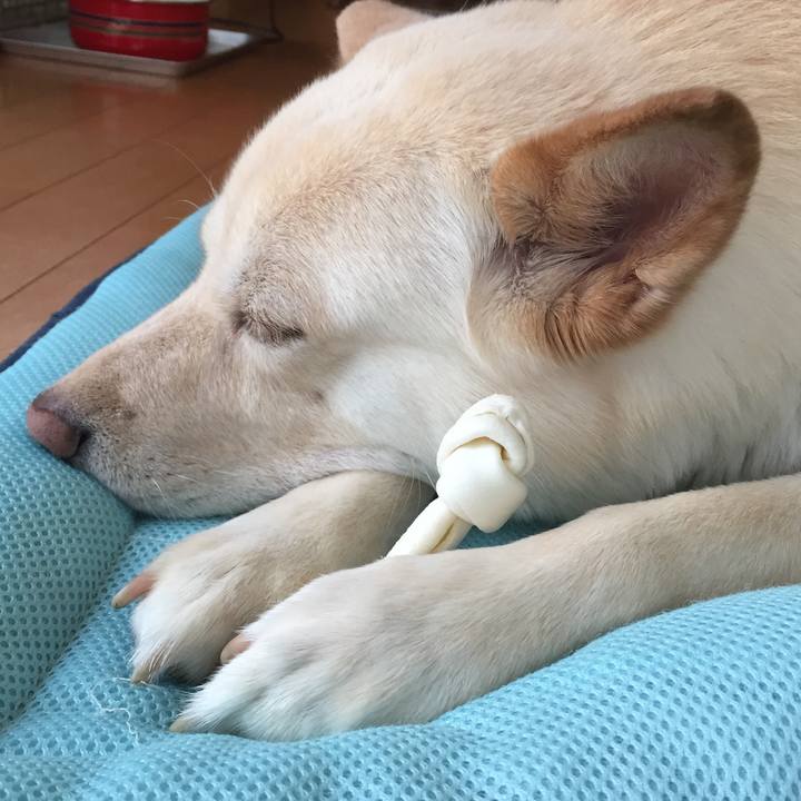 067abc81 e7dc 444d 9c36 13833e406084