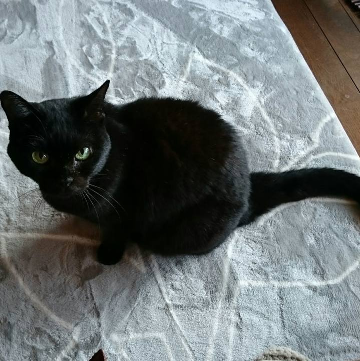 067afbe0 bfda 4b51 a3d0 18f335e0b4aa