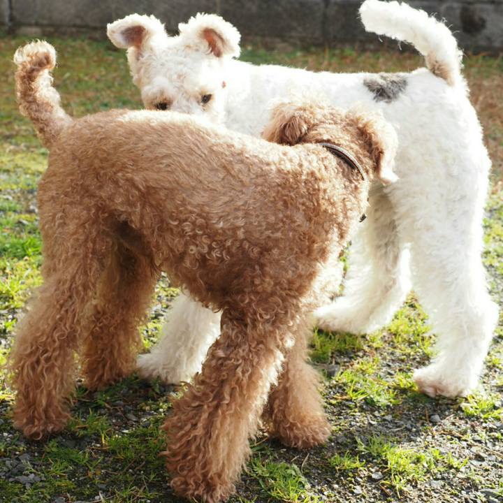 067b4b3c a62b 46f4 89a5 322936f1d8ab