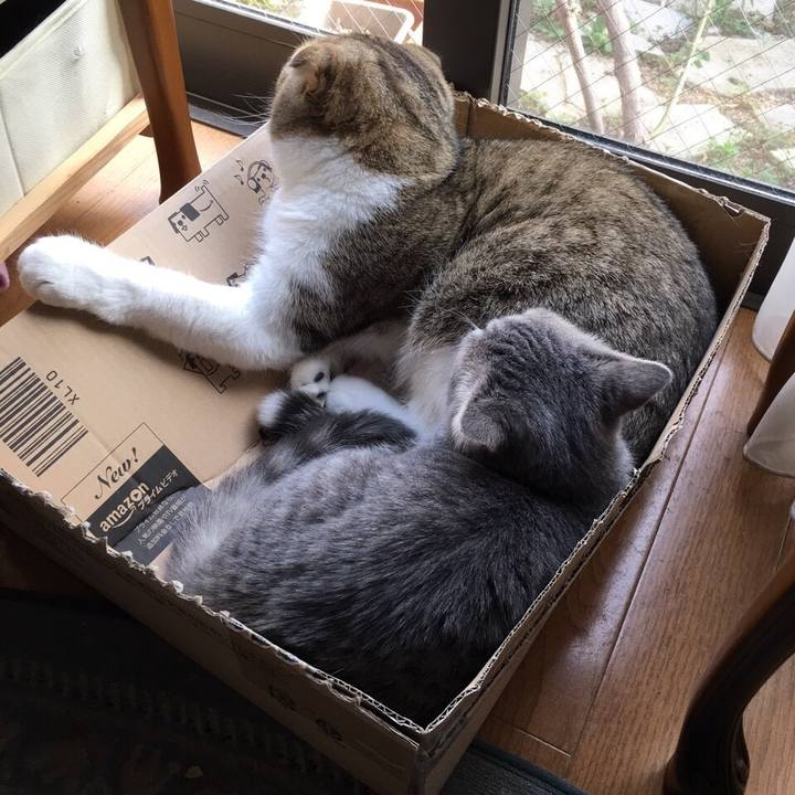 067bf990 d792 405f b4b6 9f5ca2a5e563