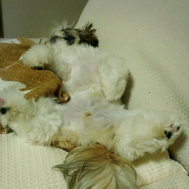 067c360f cb2c 4abb a6f3 f042c3cb6c2d