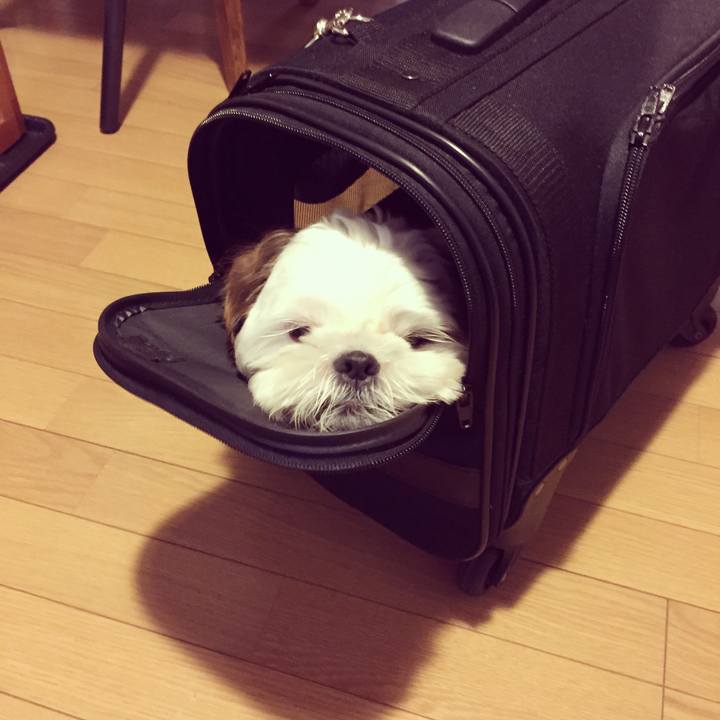 067c6f0e fb09 429c 82bd aa451b78a6c9