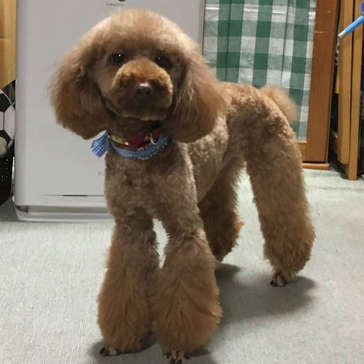 067ce6ac c0fb 4de6 ac41 70b86a0b57d8