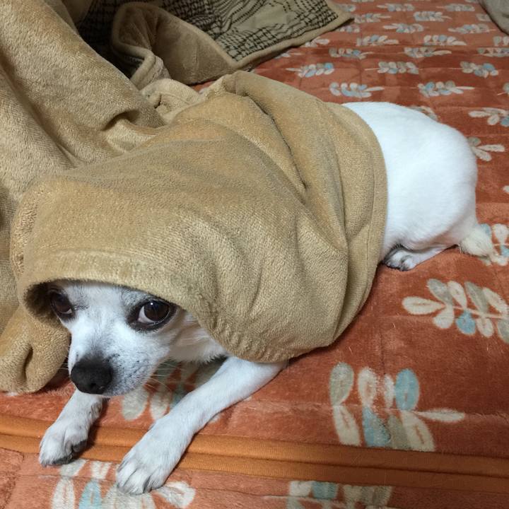 067d1e3f e439 478a b95c b202680ecad3