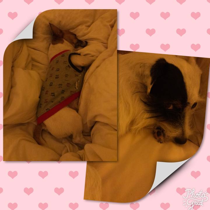 067d4c26 349c 446f bf0a bb32a7d8524d