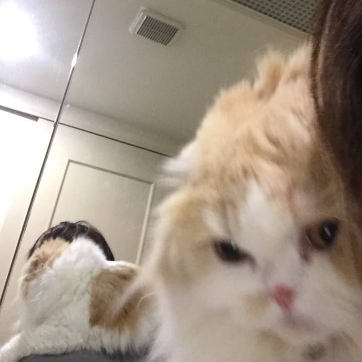 067db5df 5239 454d a655 7ee4b50f2539