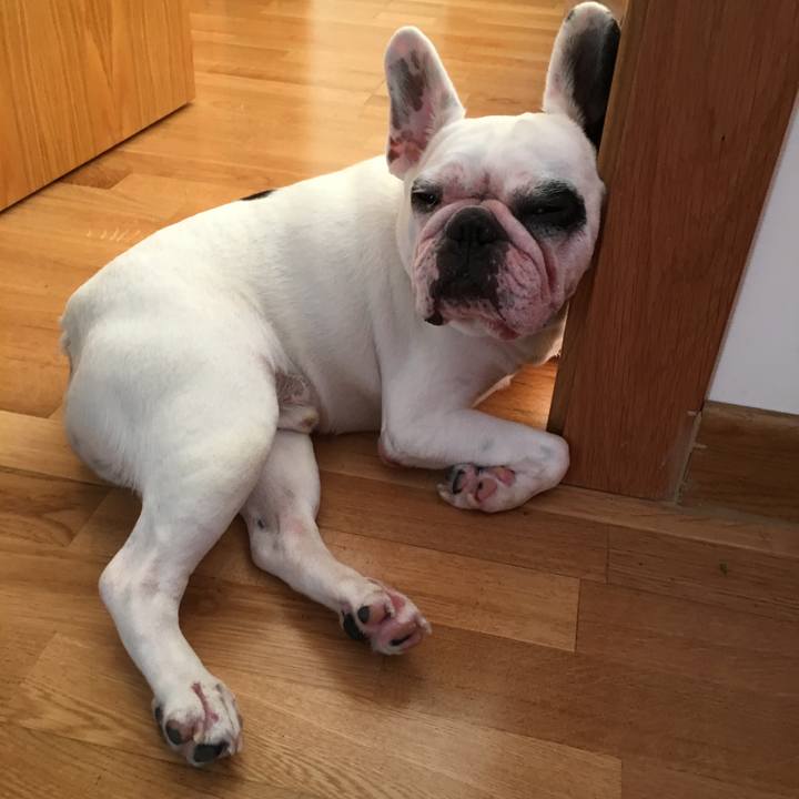 067dc1a1 0eac 4958 a301 d269851010b4