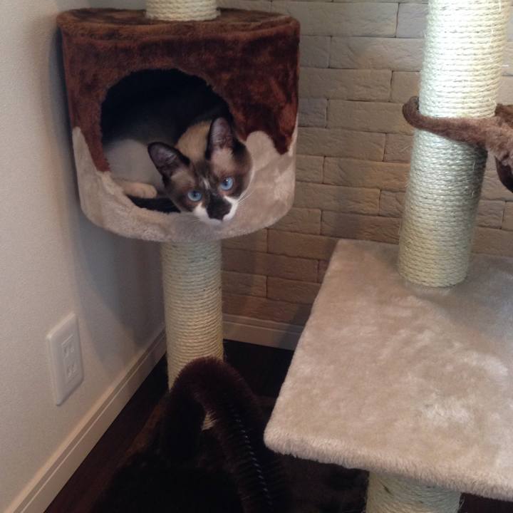 067dc9b8 88f2 4412 9fbe b4be8aff6bd2