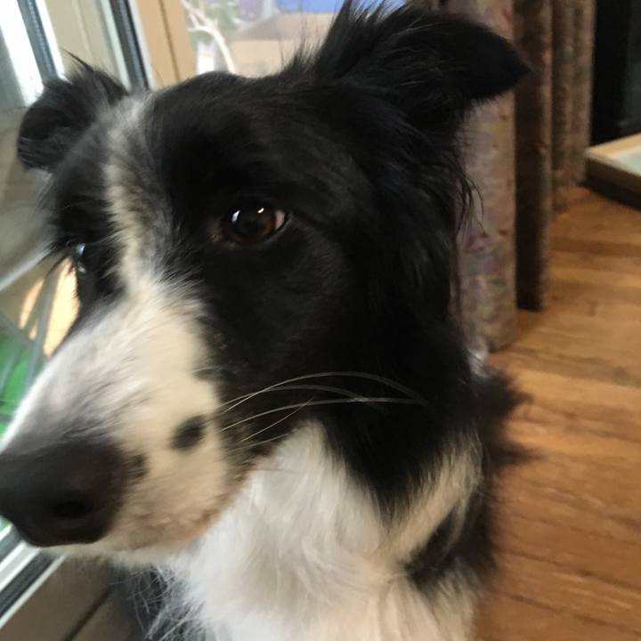 067dd8f0 eb49 4146 a406 4e4d24e625dd