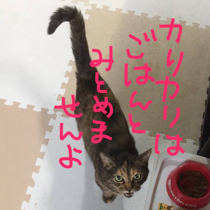 067e0626 0b0e 4b98 a223 7ba38102adb2