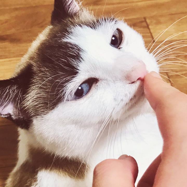 067e7d44 61a9 4fe9 a314 fe2a2bdc2eb7