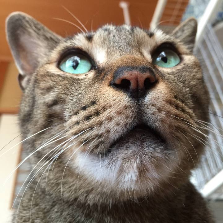 067e86ed 759e 4292 b3f1 75bb1eb0afb1