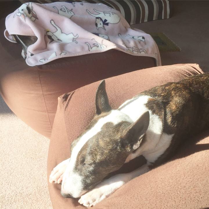 067e8a74 3547 4ad4 b286 21ce88f62060