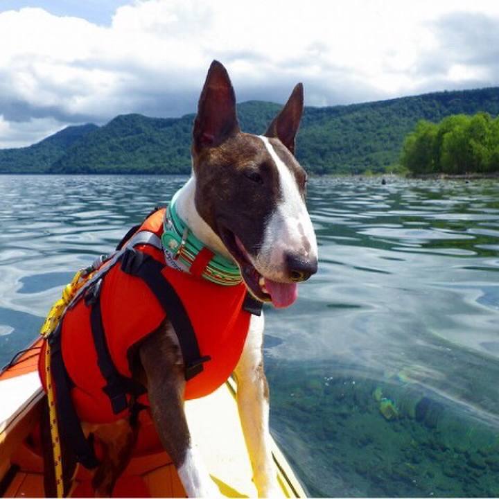 067f083c 6660 4d6b 89e5 6340228ac89e