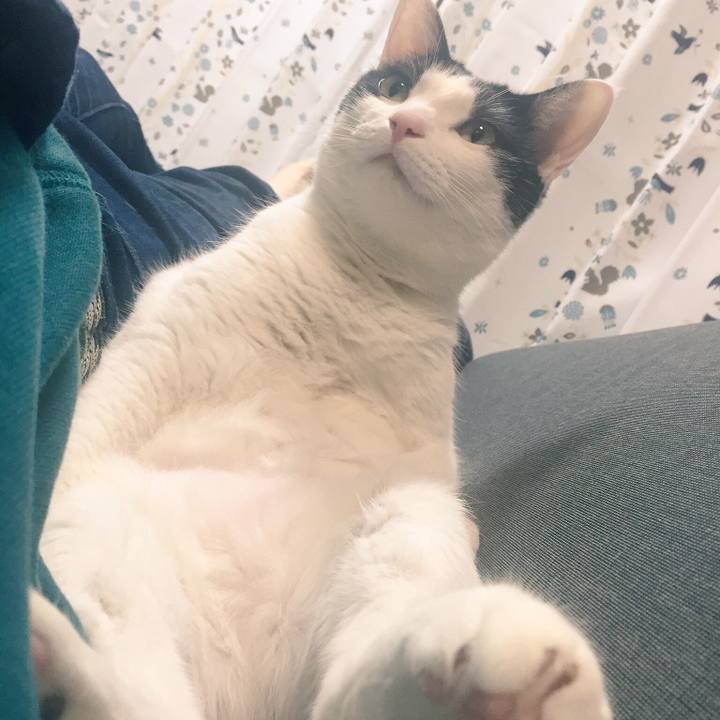 067f2d27 8750 4fcf 9eef bbbad236816b