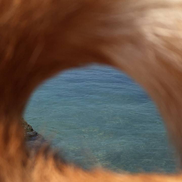 067f473f 8138 425e 88d5 a7943041b66e