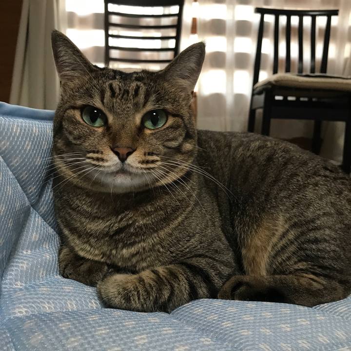 067f564d 6e20 40f2 bee7 4b9d3116dabb