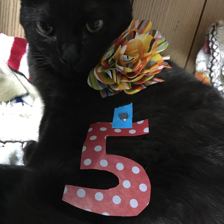 067f75b1 1f19 4ca9 8fc0 e244e2d1b912