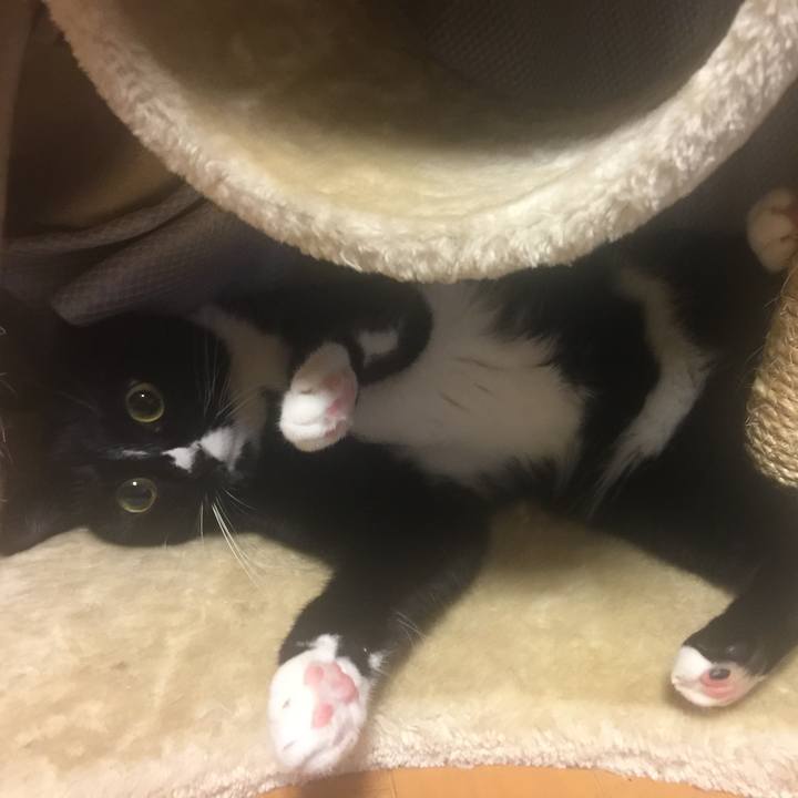 067f9bf6 8e23 4fff 80ee 29bff5334c7a