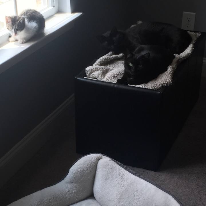 06800e11 ca9c 4e4d af70 87c4f0099370