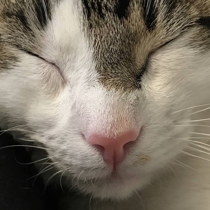 06802887 63d7 4c1d b299 2cd6b5e35b20