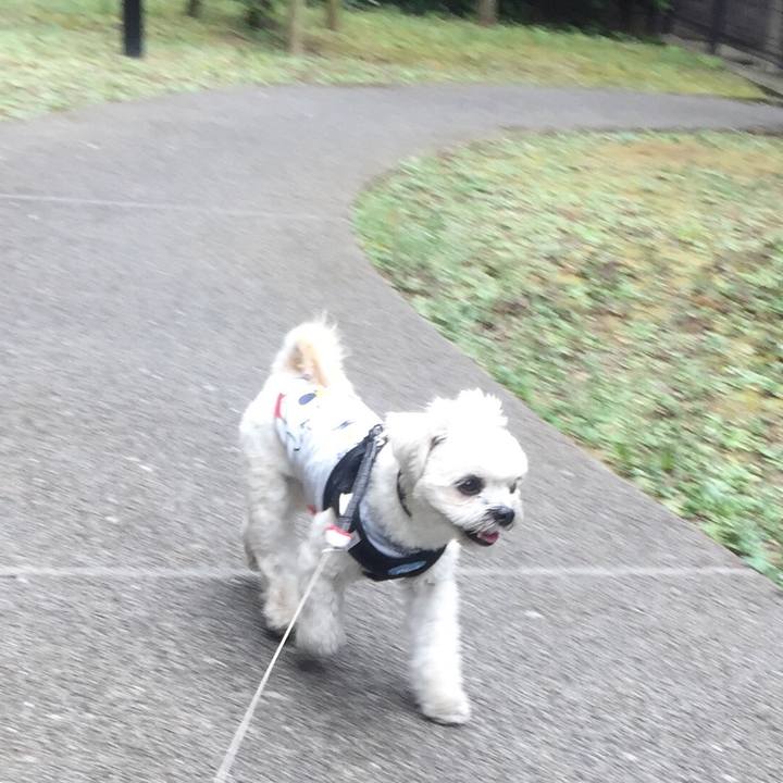 06803255 eb19 414a 9c72 526210c1bc62