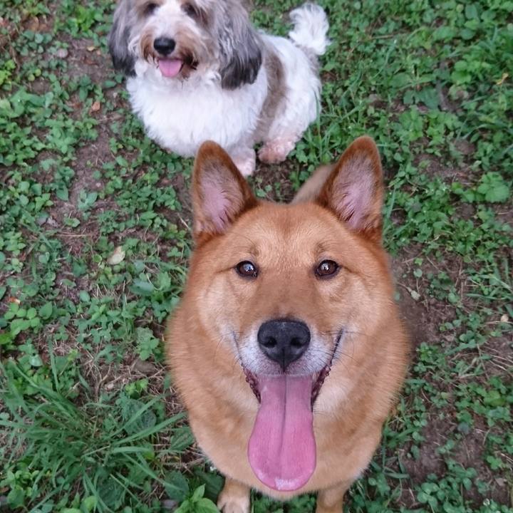 0681684f f46e 42df 87ec f7c4109c9eef